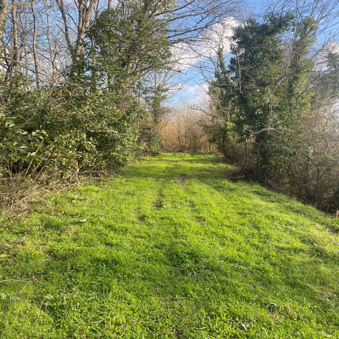 Offres de vente Terrain Cubzac-les-Ponts (33240)